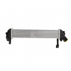 INTERCOOLER RENAULT KANGOO 98 1.5 dCi 8200221885