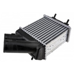 INTERCOOLER RENAULT MEGANE I (95-) 1.9 DCI, SCENIC I (96-) 1.9 DCI (DIESEL) 7700838130