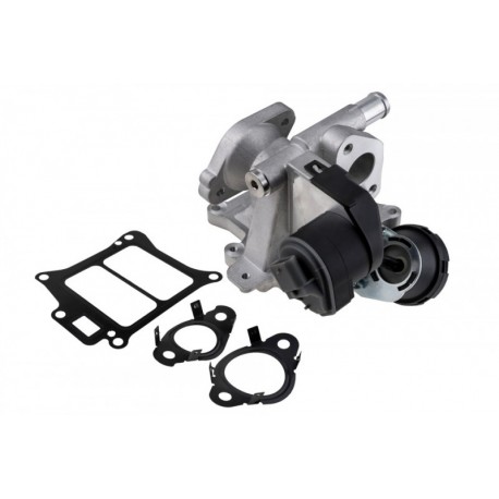 EGR SZELEP 2.0D VOLVO S60 II,S80 II,S90 II,V40,V60 I,V70 III,V90 II,XC60 I,X 36010128