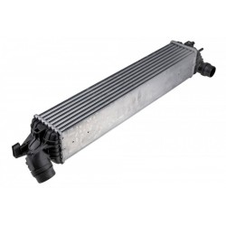 INTERCOOLER RENAULT LAGUNA III (07-) 2.0 DCI (MAN/AUT, AC +/-, DIESEL) 144960001R