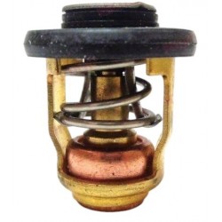 Yamaha 50-70 LE termosztát