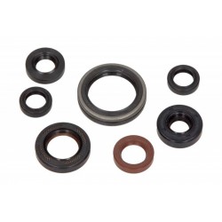 Olajtömítés készlet motor Gas Gas EC 250 4T 2013-2015 P400485400039