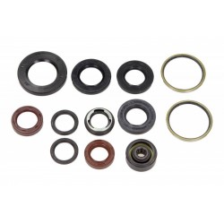Olajtömítés készlet motorhoz Malaguti Madison 4T LC 125 1999-2001 (12 db) P400325400001