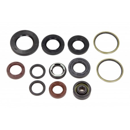 Olajtömítés készlet motorhoz Malaguti Madison 4T LC 125 1999-2001 (12 db) P400325400001