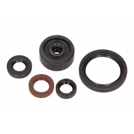 Yamaha WR 250 R 2008-2013 teljes motor olajtömítés készlet P400485400154