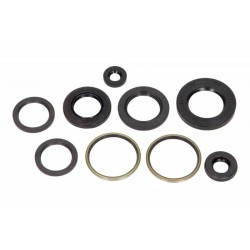 Aprilia Leonardo 250 motorolaj tömítéskészlet 1999-2004 (9 db) P400485400249