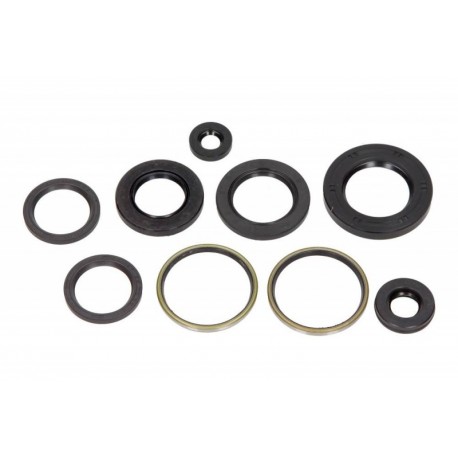 Aprilia Leonardo 250 motorolaj tömítéskészlet 1999-2004 (9 db) P400485400249