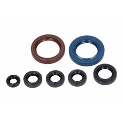 Olajtömítés készlet motorhoz KTM EXC 250 Racing 2003-2006 P400270400002