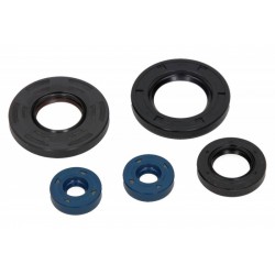 Olajtömítés készlet motorhoz Aprilia Leonardo 4T 125 1996-2001 (5 db) P400010400014