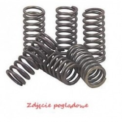 Kawasaki Z750 / Z800 (2009-2014) motorkerékpár kuplungrugók
