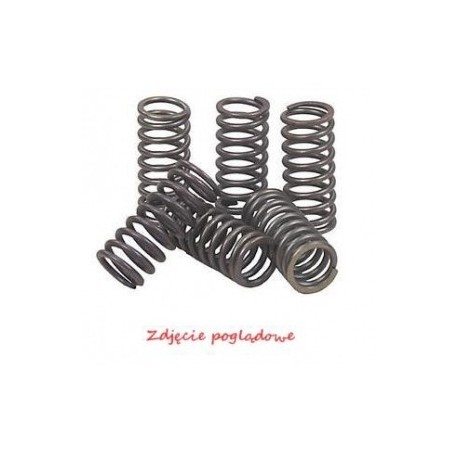 Kawasaki Z750 / Z800 (2009-2014) motorkerékpár kuplungrugók