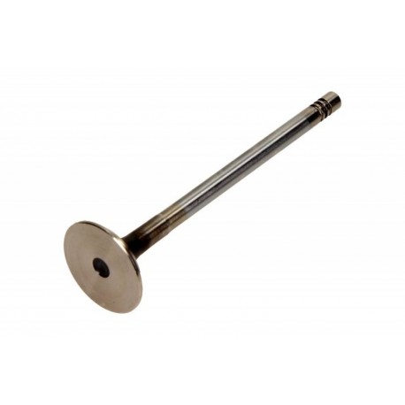 Kipufogószelep Volkswagen 2.0 16V VL139400