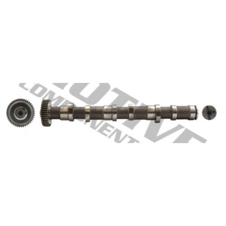Volkswagen 2,5 TDI vezérműtengely 059109009BJ