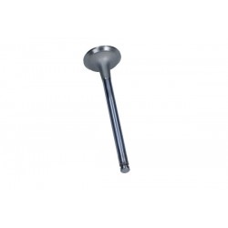 Kifolyó szelep Fiat kipufogó 2,5D/TD (Federal Mogul)