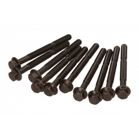 Fiat 1,0-1,1B hengerfej csavarok W302939 (10x)