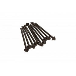 Hengerfej csavarok BMW 1/3/4/5/6/X1/X3 2,0 1,6 TDI 09- 90069-31065 (10x)