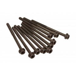 Ford 2,0B hengerfej csavarok LR025253 (10x)