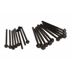 Citroen Ford 2,2 TDCi hengerfej csavarok Jumper, Ranger, Transit 06- U204-10-135 (10X)