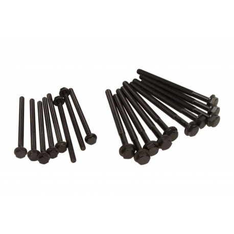 Citroen Ford 2,2 TDCi hengerfej csavarok Jumper, Ranger, Transit 06- U204-10-135 (10X)