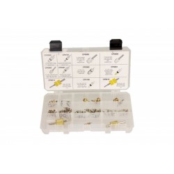 Szervizszelep készlet 40 db + 2 szelep kiszedő kulcs