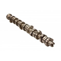Vezérműtengely Volkswagen 2,5 TDI T5 V02-024