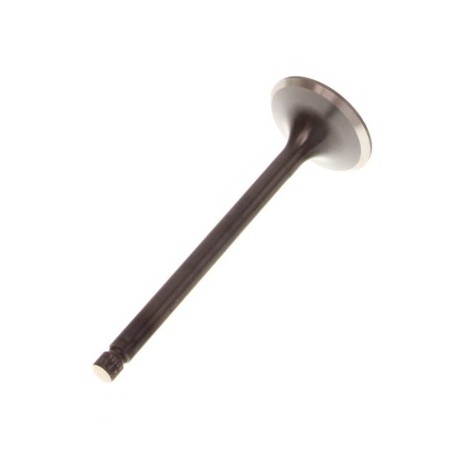 Szívószelep Smart 0.6/0.7 6V A 160 053 00 01